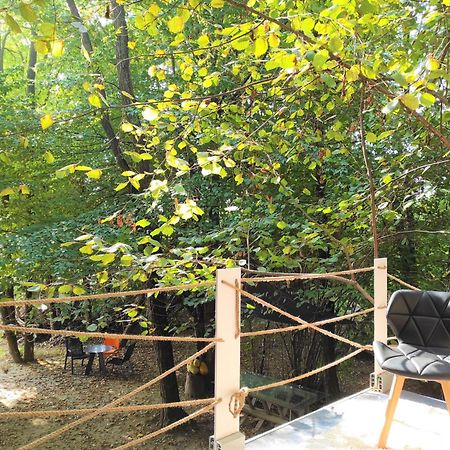 Forest Art Villa Zagreb Sveta Nedjelja  Экстерьер фото