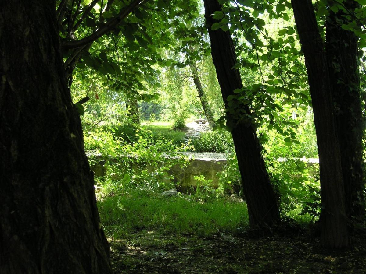 Forest Art Villa Zagreb Sveta Nedjelja  Экстерьер фото
