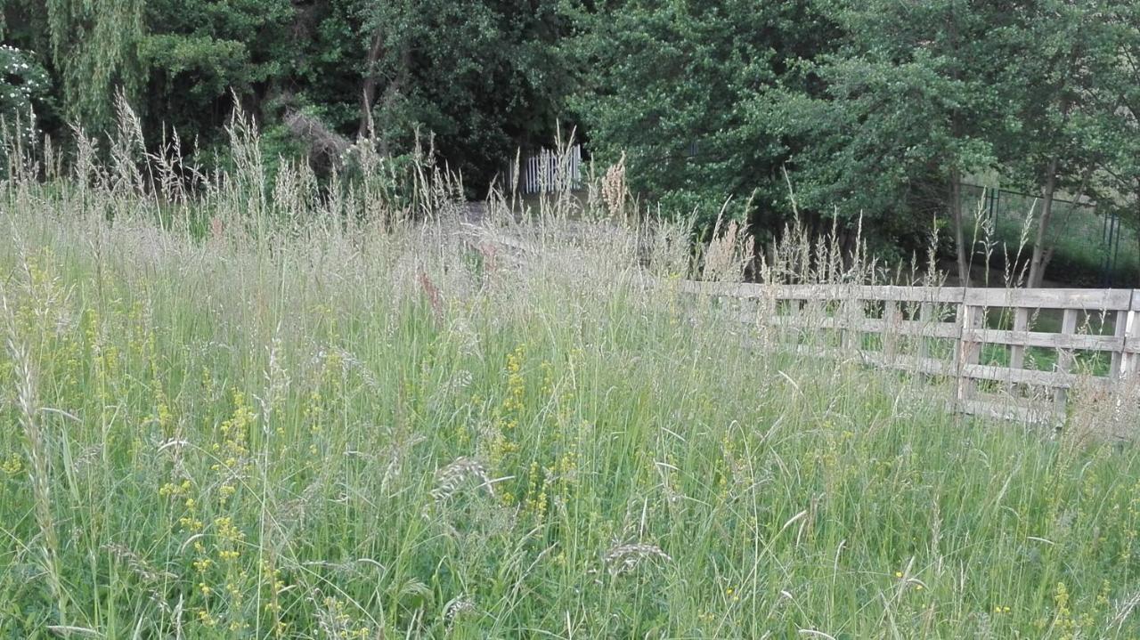Forest Art Villa Zagreb Sveta Nedjelja  Экстерьер фото