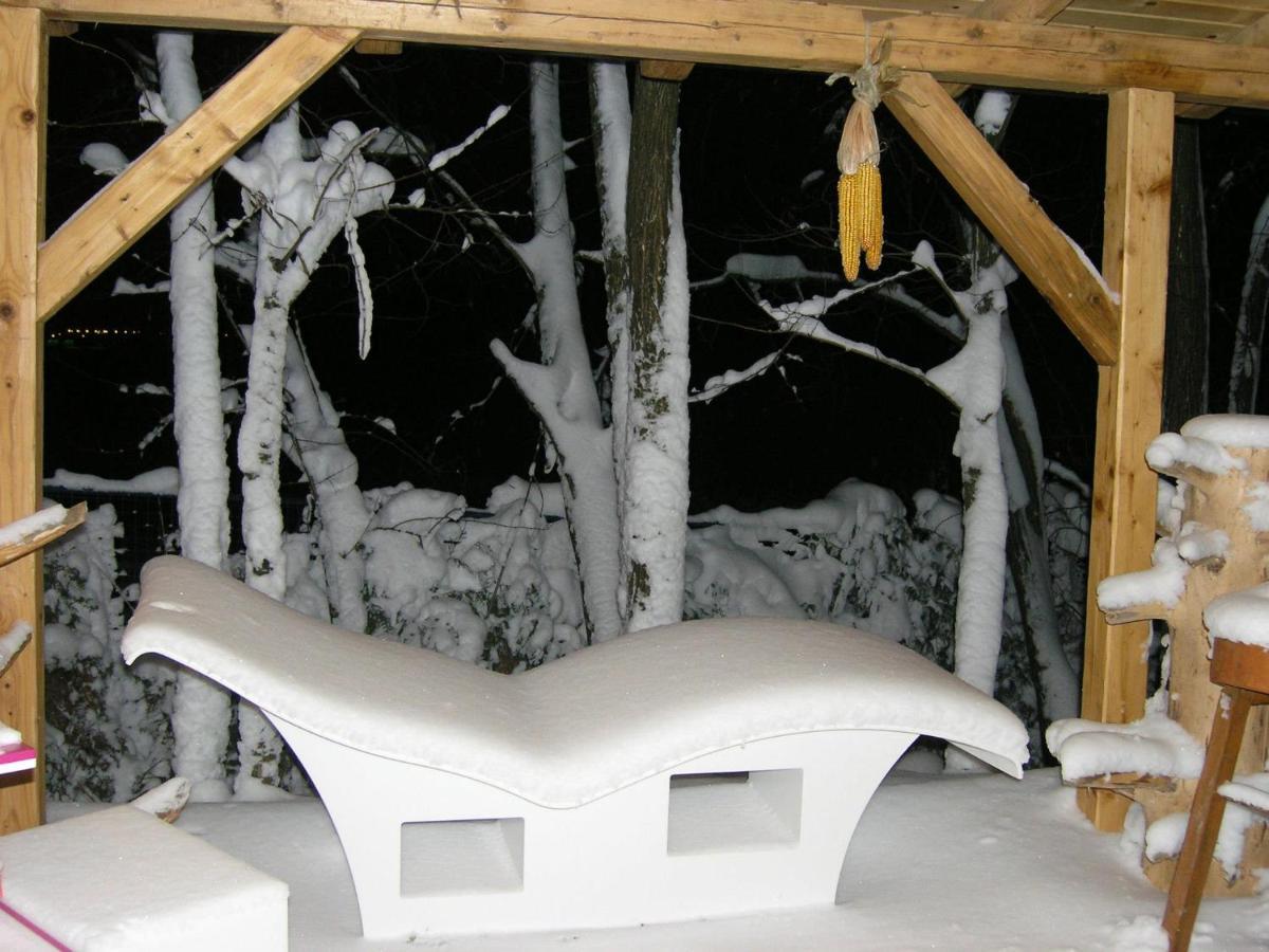 Forest Art Villa Zagreb Sveta Nedjelja  Экстерьер фото