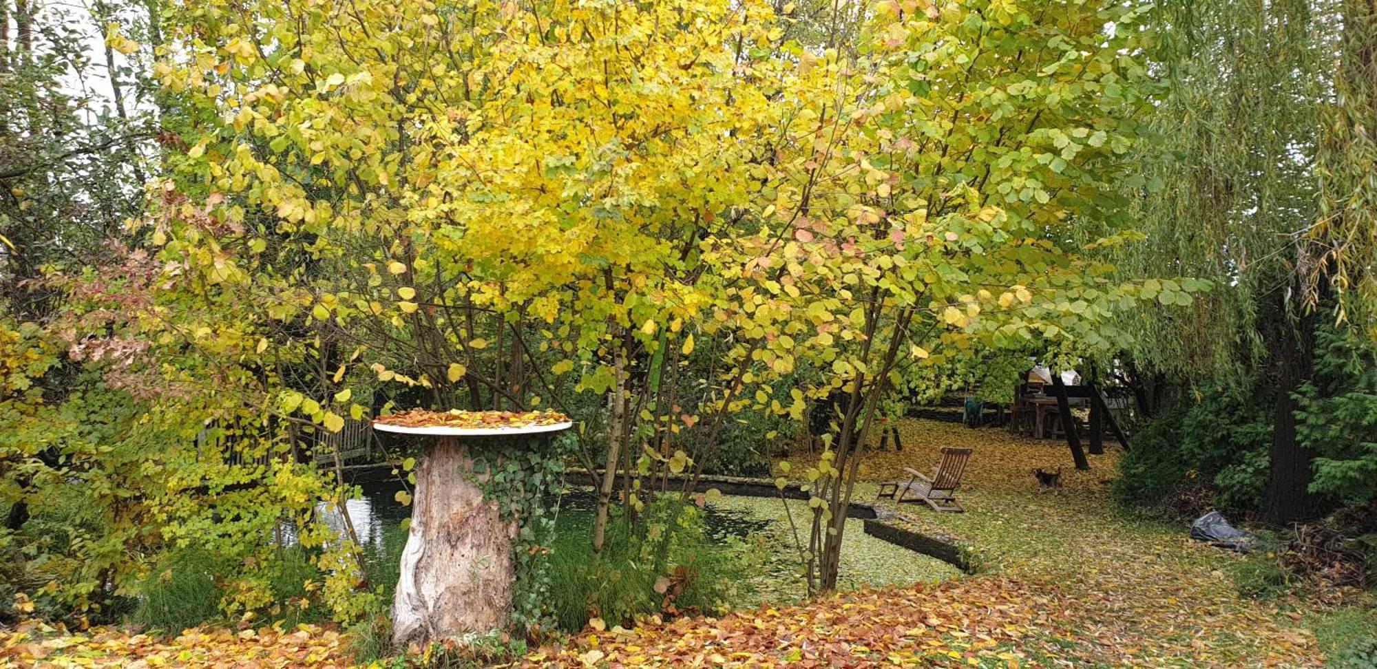 Forest Art Villa Zagreb Sveta Nedjelja  Экстерьер фото