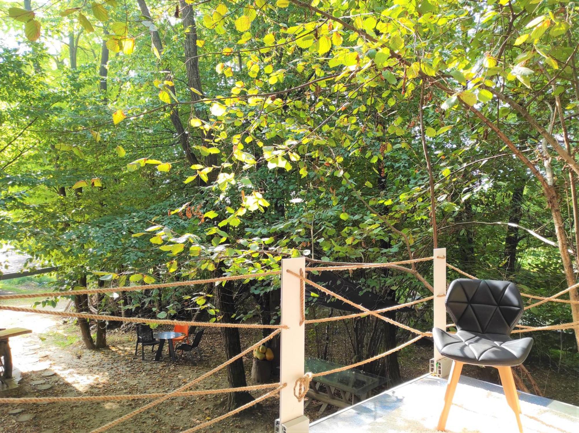 Forest Art Villa Zagreb Sveta Nedjelja  Экстерьер фото